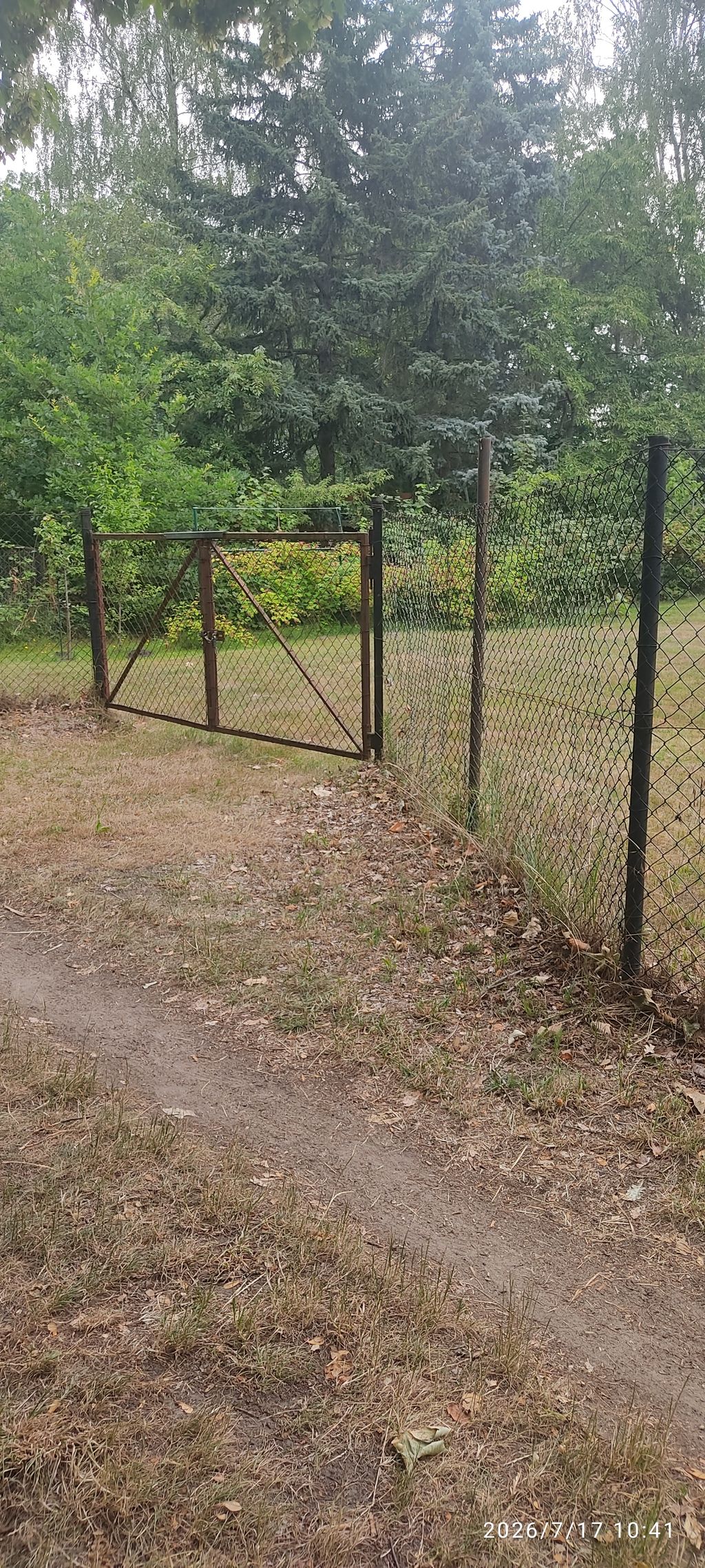 Einfahrt mir großem Tor