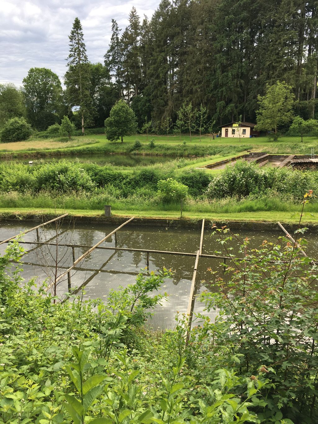 Près du ruisseau dans le village idyllique de Marienthal