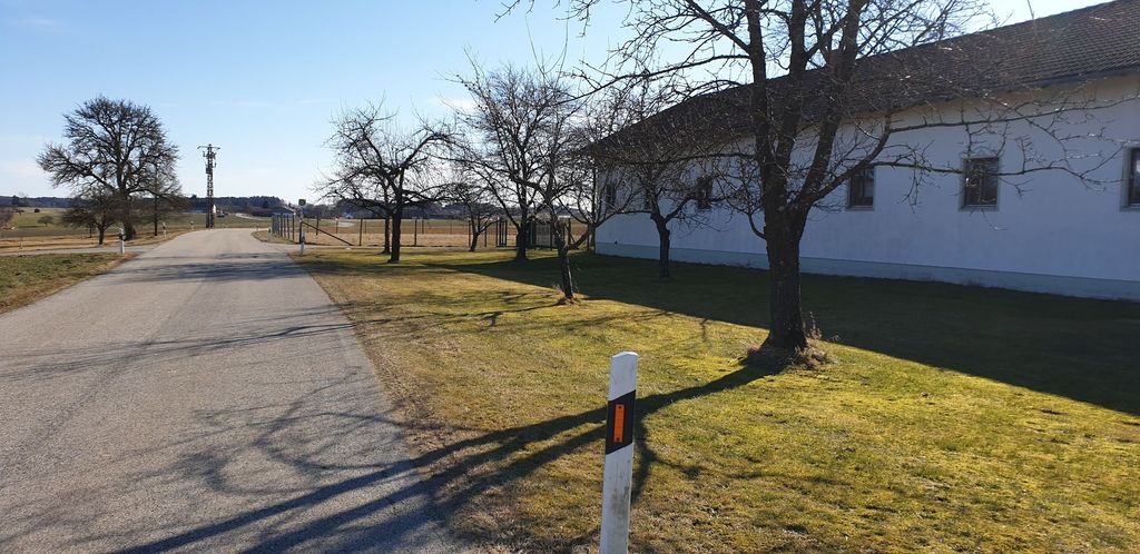 Parcela en la granja con gamos y ciervos rojos