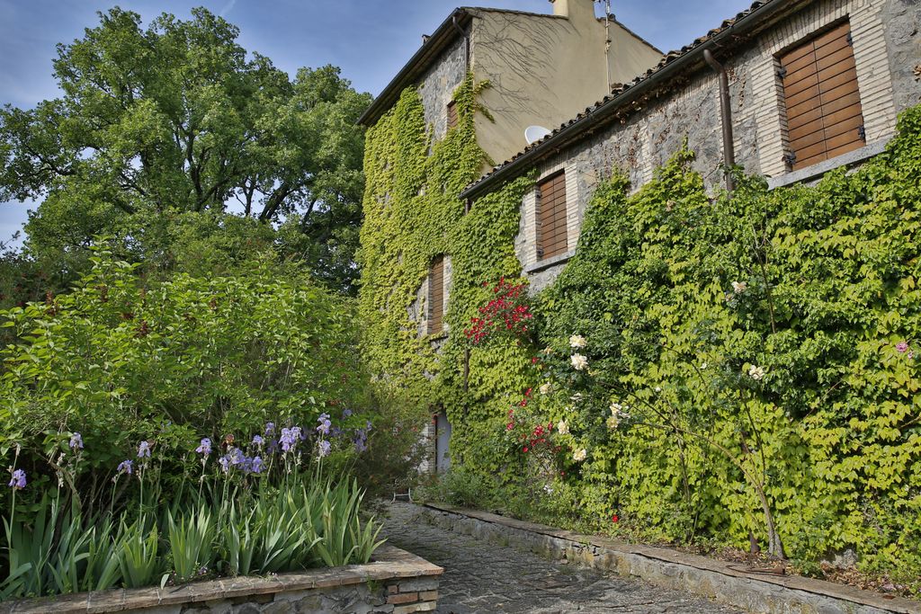Colline verdi tra Orvieto e Lago di Bolsena