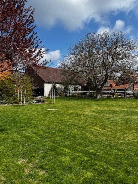 Emplacement à Holle, près du Hofcafé & Eismanufaktur