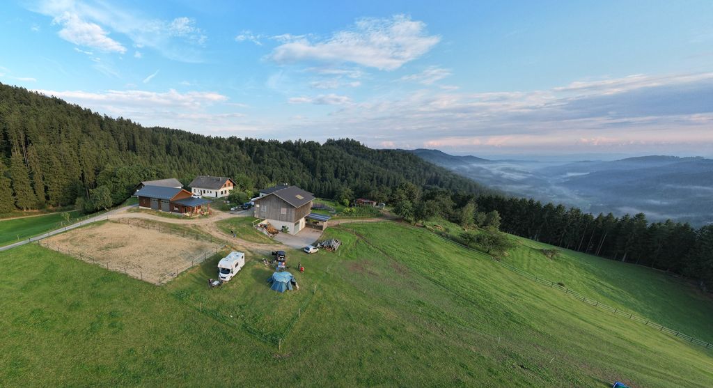 Rocky Sunshine Ranch