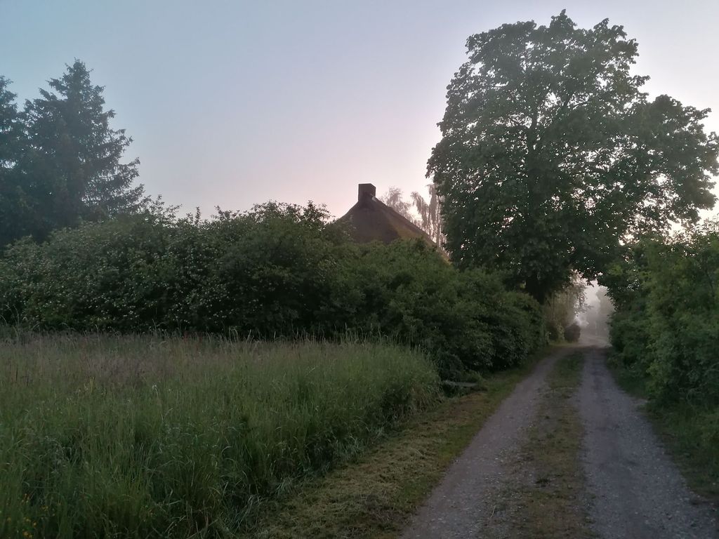 Un coin de nature calme dans la verdure près de Stralsund