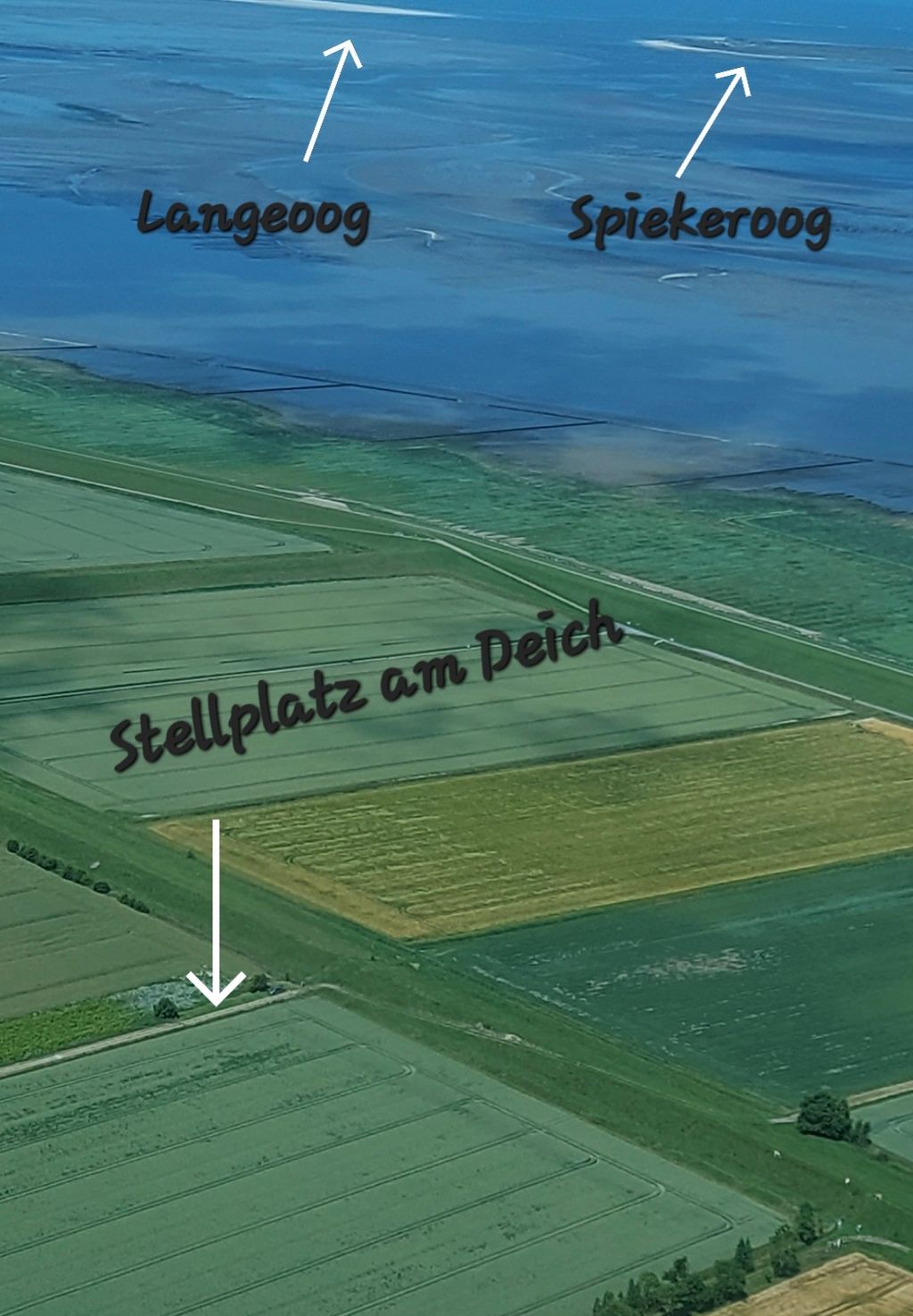 Wind & Weite - naturnah  direkt am Nordseedeich 