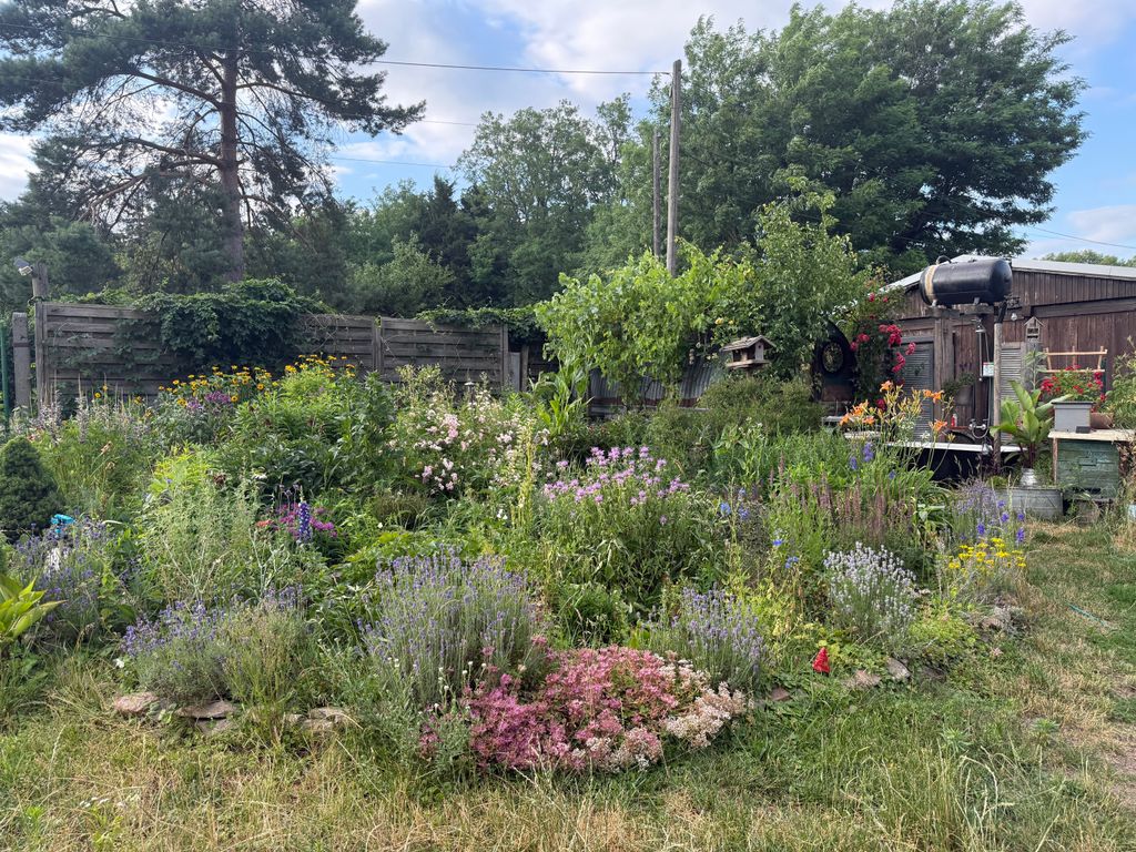 Biete einen Platz am Waldrand in schönem Garten