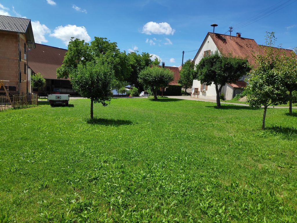 Camping am Schutzgebiet -Booser-Musbacher Ried- (en allemand)