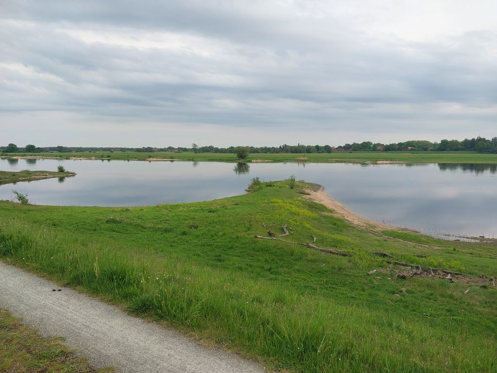 Elbe Idyll: A quiet spot right on the dike
