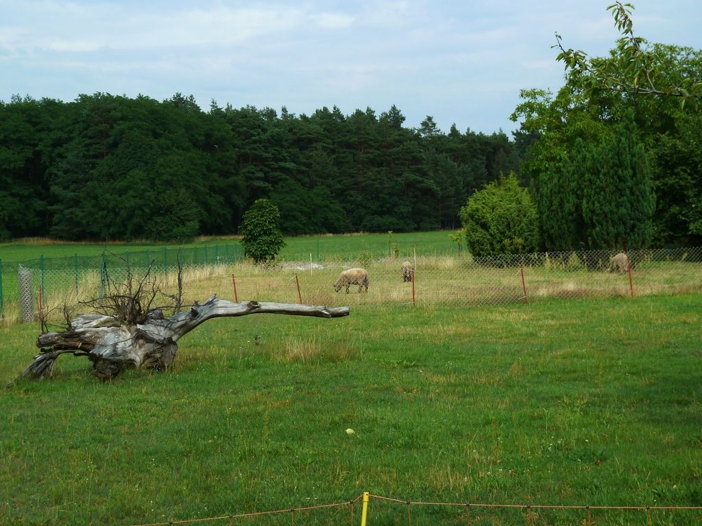 Bienvenue dans la région des lacs de Lusace