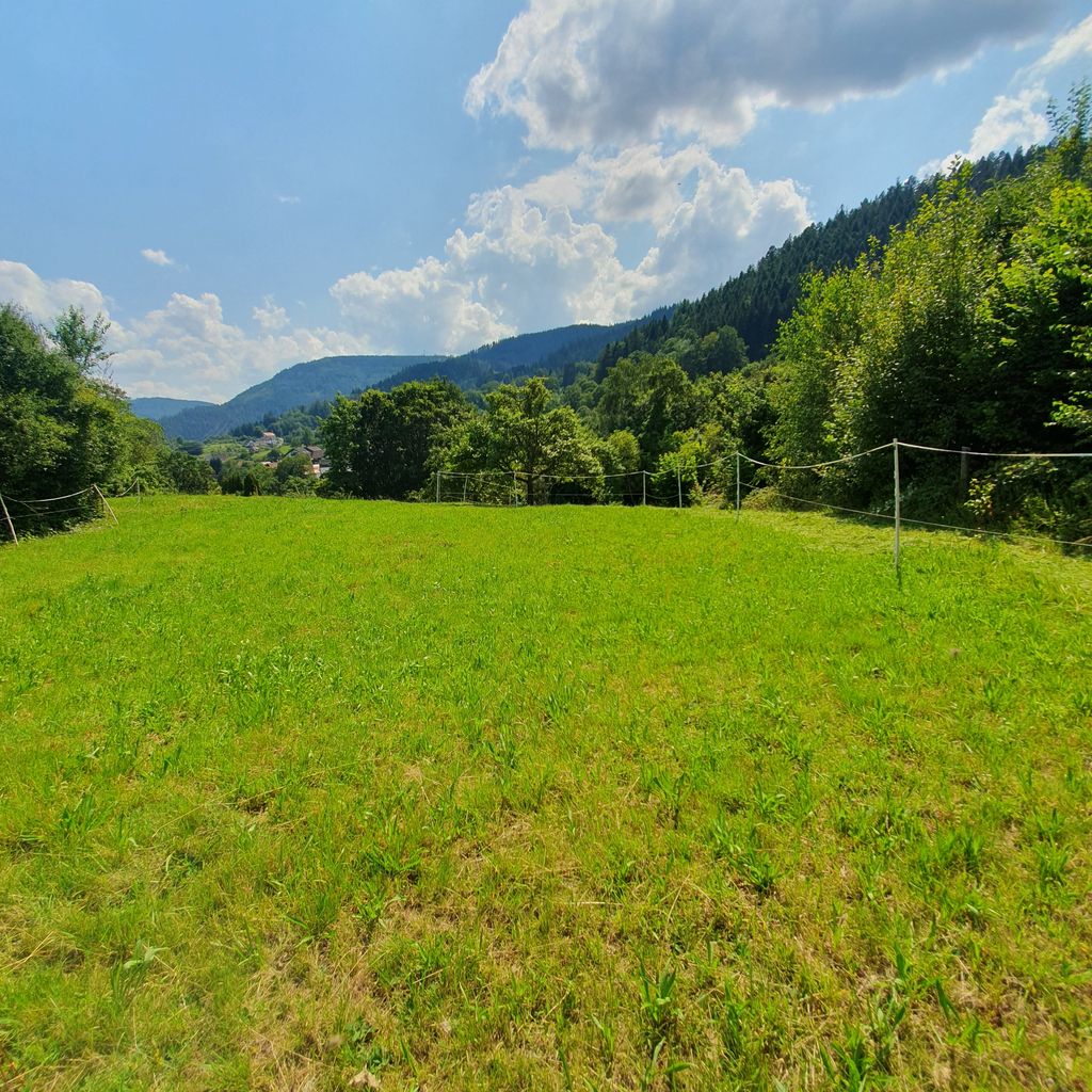 Terrain de camping "unterm Apfelbaum" dans le nord de la Forêt-Noire