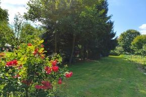 Jardín paradisíaco rodeado de campos y prados