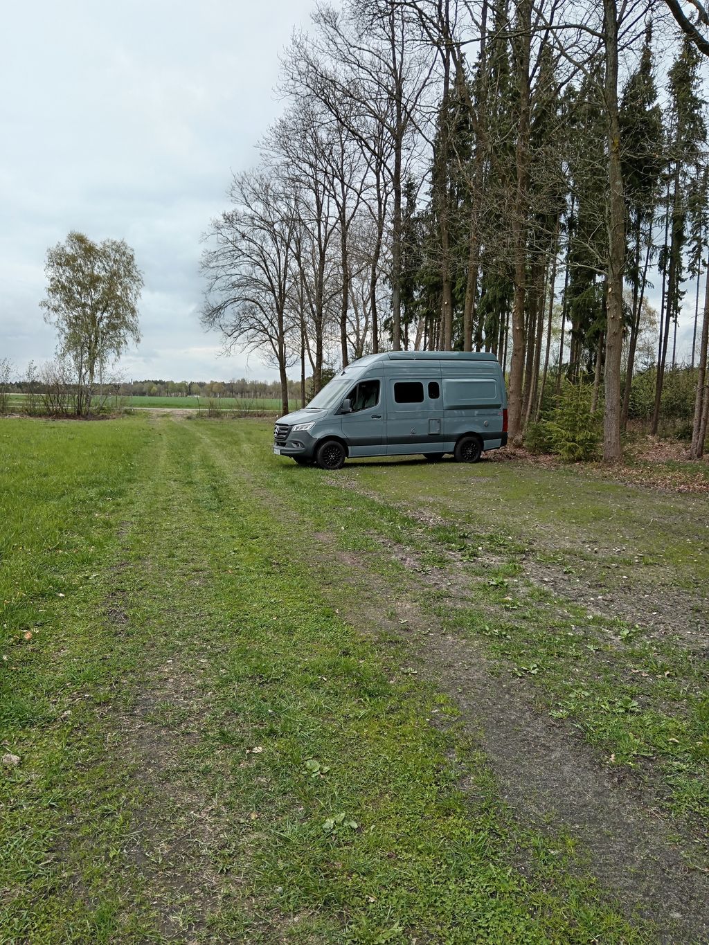 Wintermoor: An Idyllic Heathland Scene—The Heart of the Lüneburg Heath