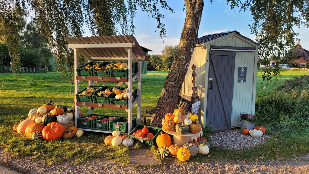 Stellplätze auf Bauernhof nahe Flensburger Förde