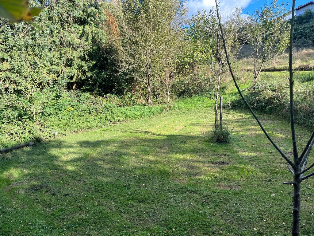 The Taunus - inner city, but still pure nature