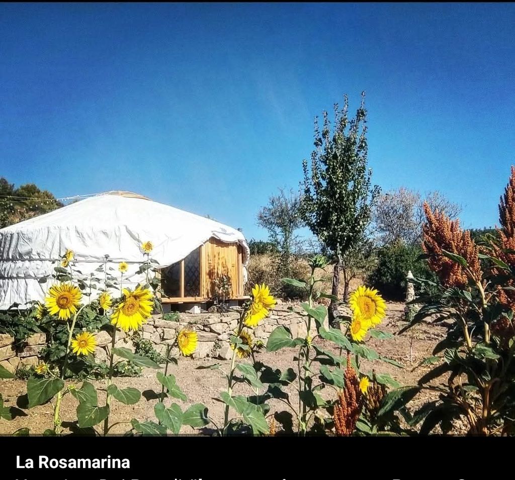 Relax in a Yurt with a unique sea view