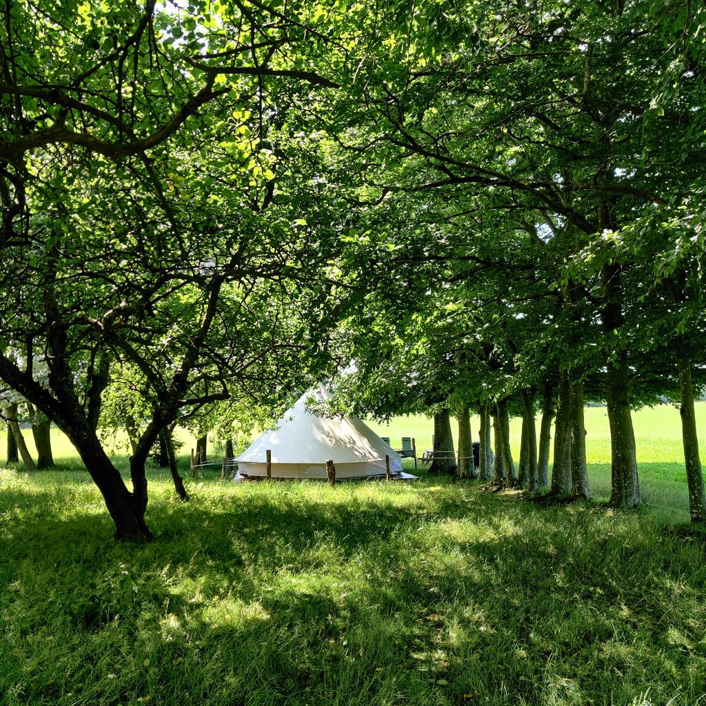 Tienda de lujo Lærken en el Parque Natural de Ølene