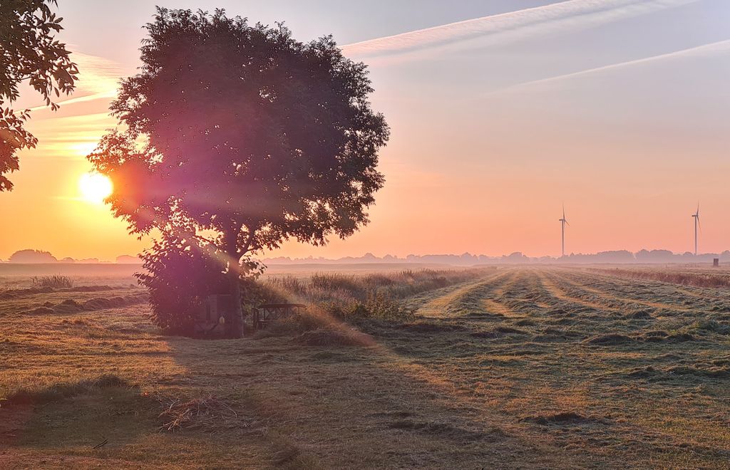 Naturgeflüster auf dem Hof-lass die Seele baumeln