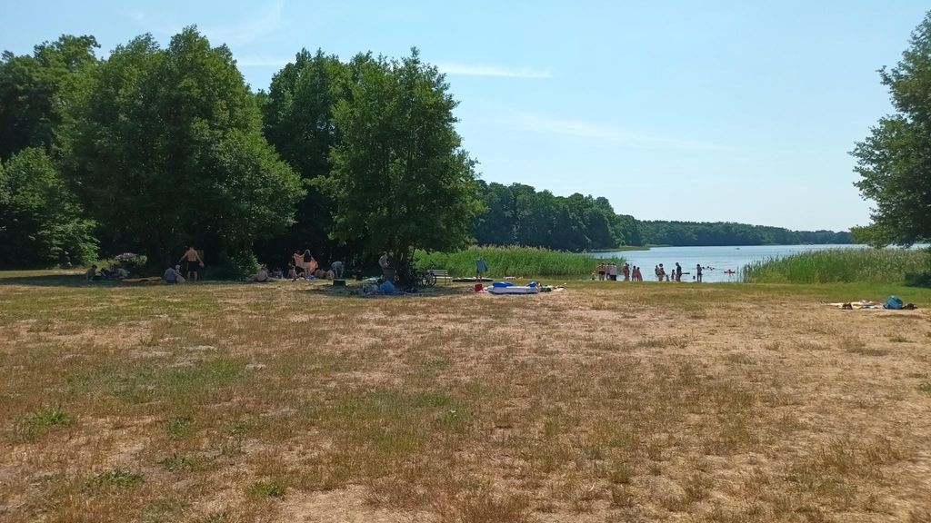 Campeggio sull'isola della foresta