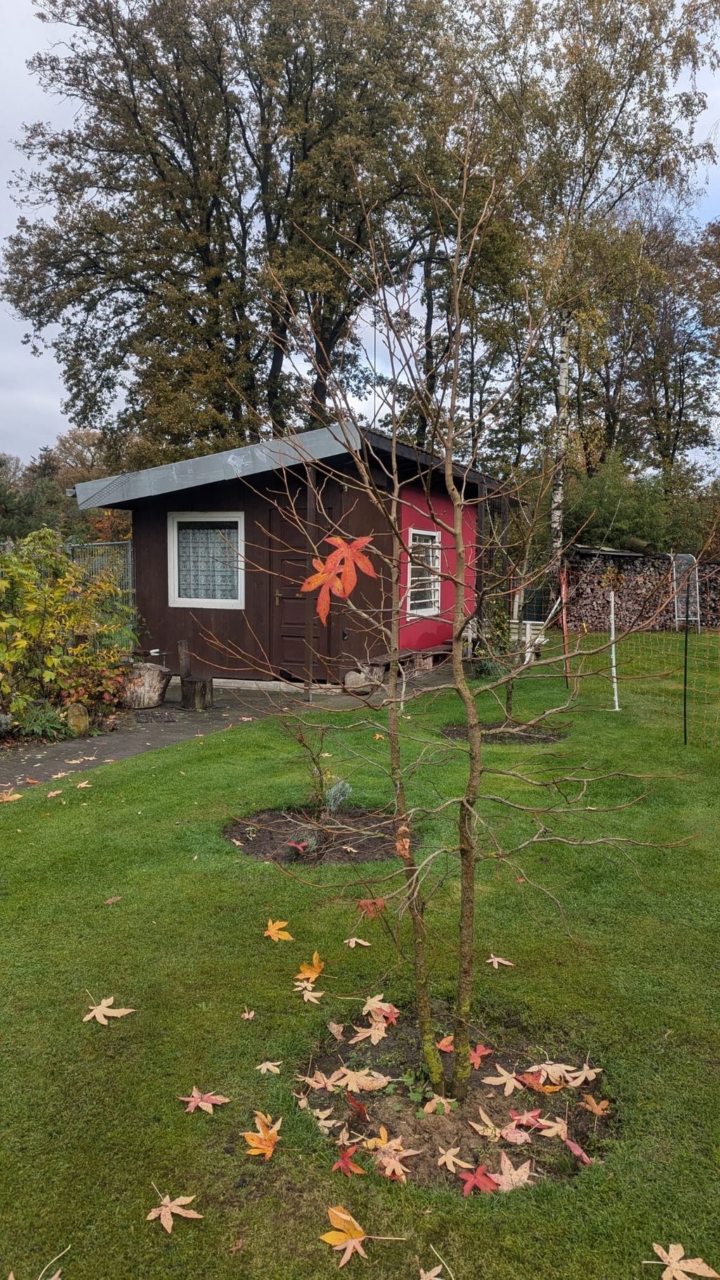 Property near the European cycle path and Ems