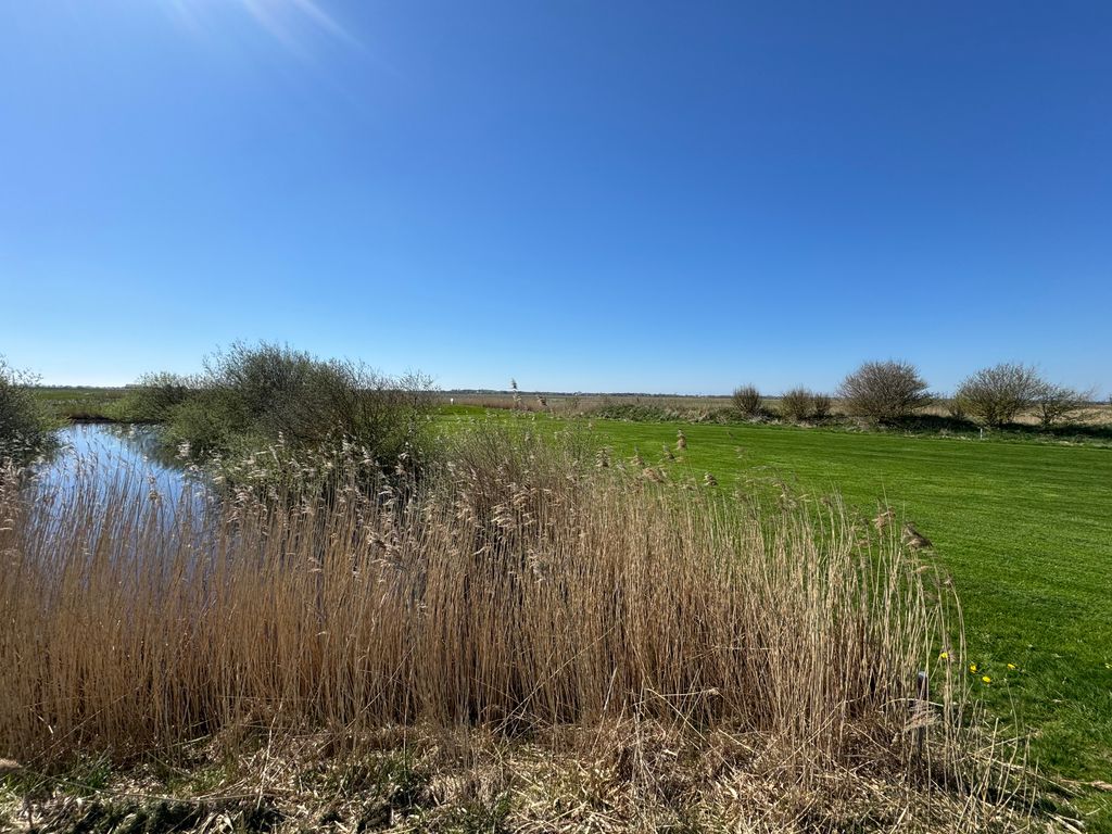 Marschland-Weitblick vor Sankt Peter-Ording