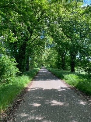 Friedenstal dans l'Oderbruch