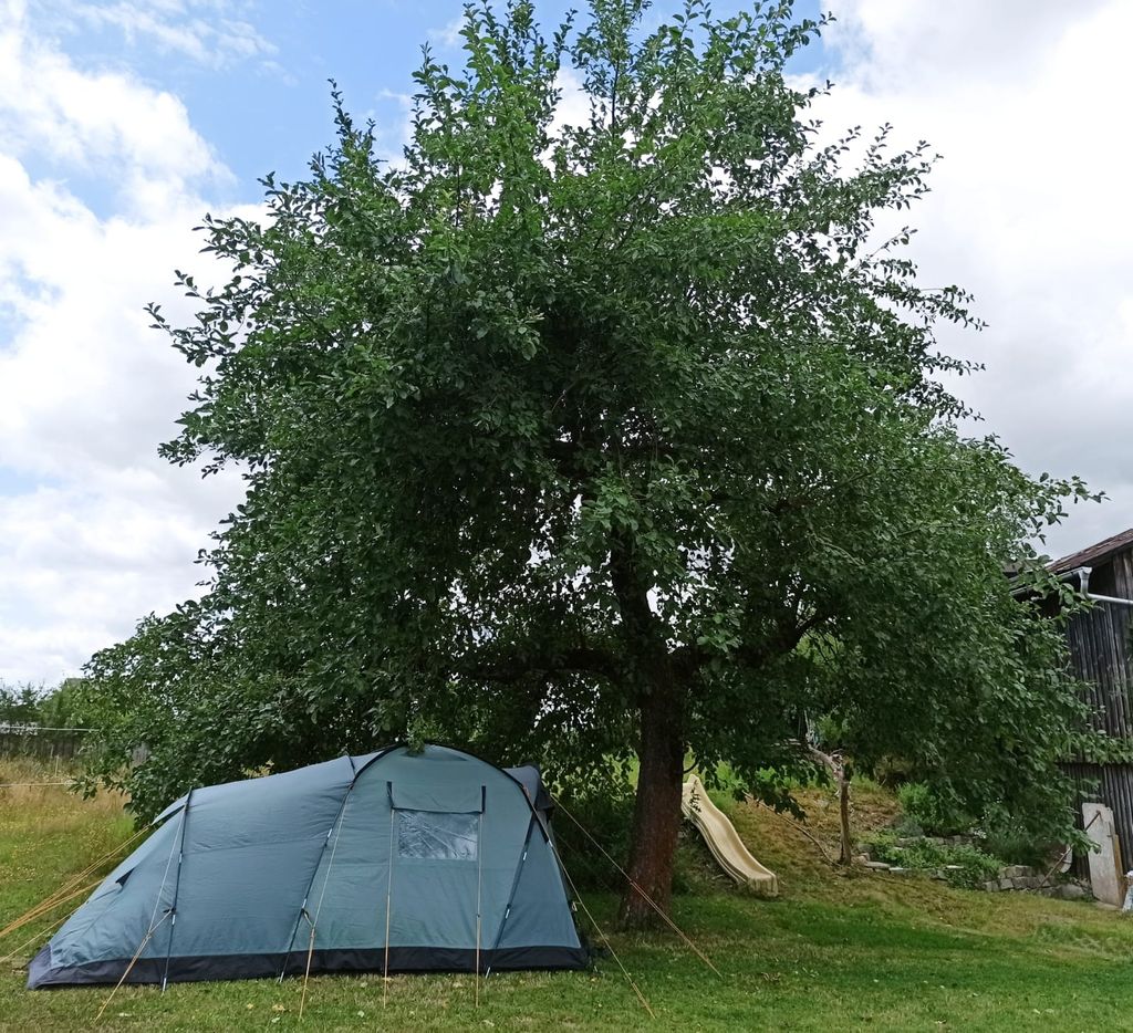 Country vacation under the apple tree