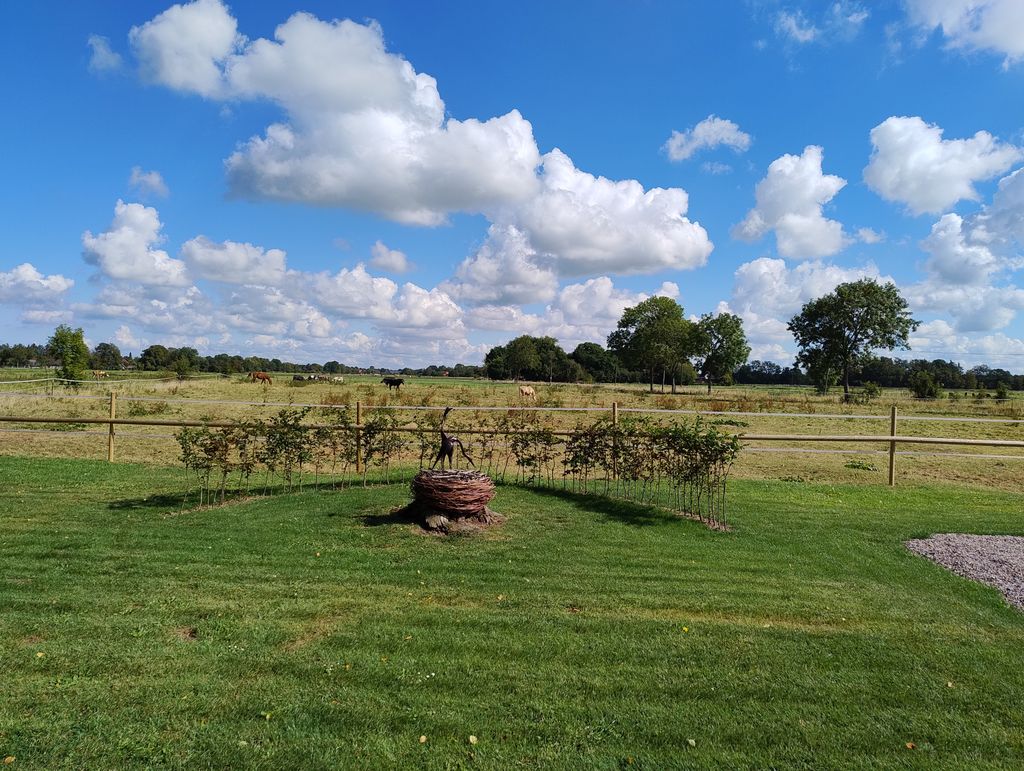Tranquilidad en la naturaleza del Jadebusen