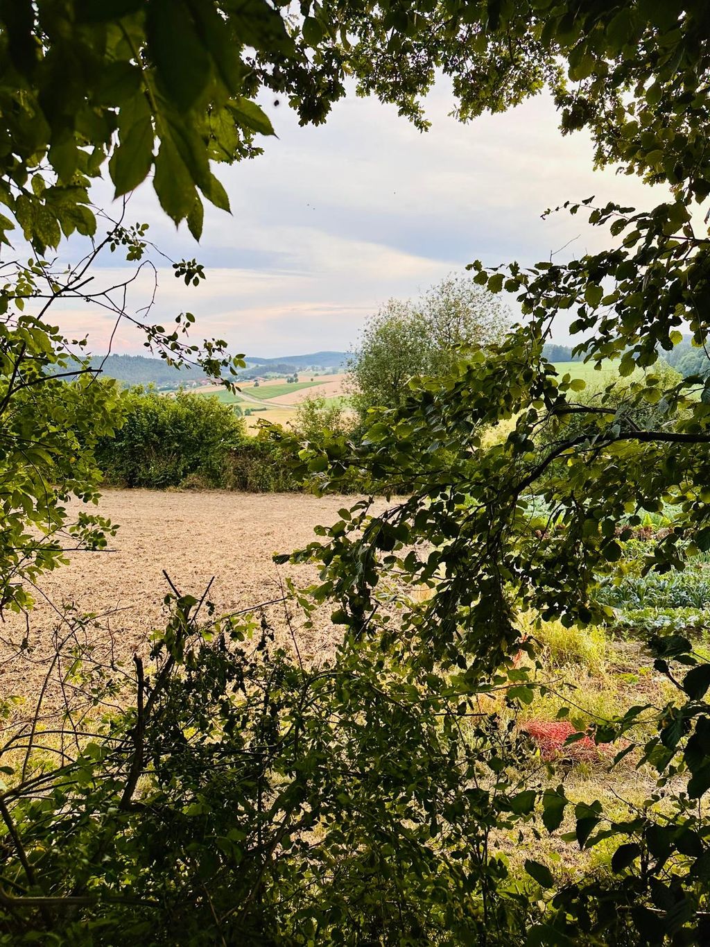 Campeggio in una fattoria biologica nella valle di Gutenecker