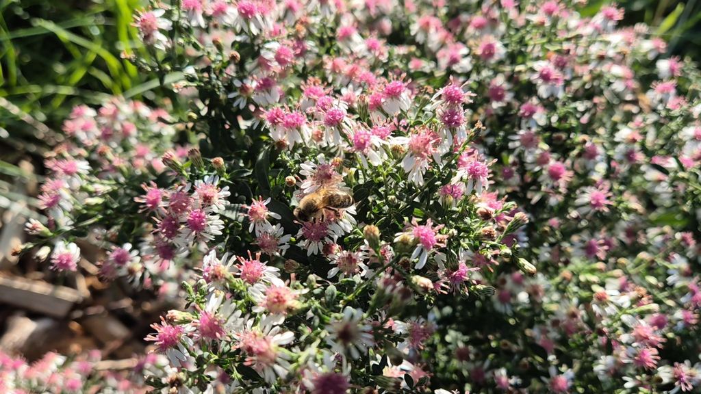 Chillout am Tor zur fränkischen Schweiz