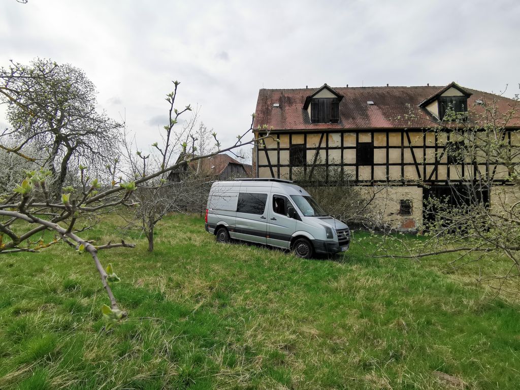 A spot in the orchard...