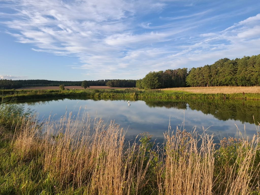 Arrêt camping idéal dans le paradis naturel de l'Aischgrund