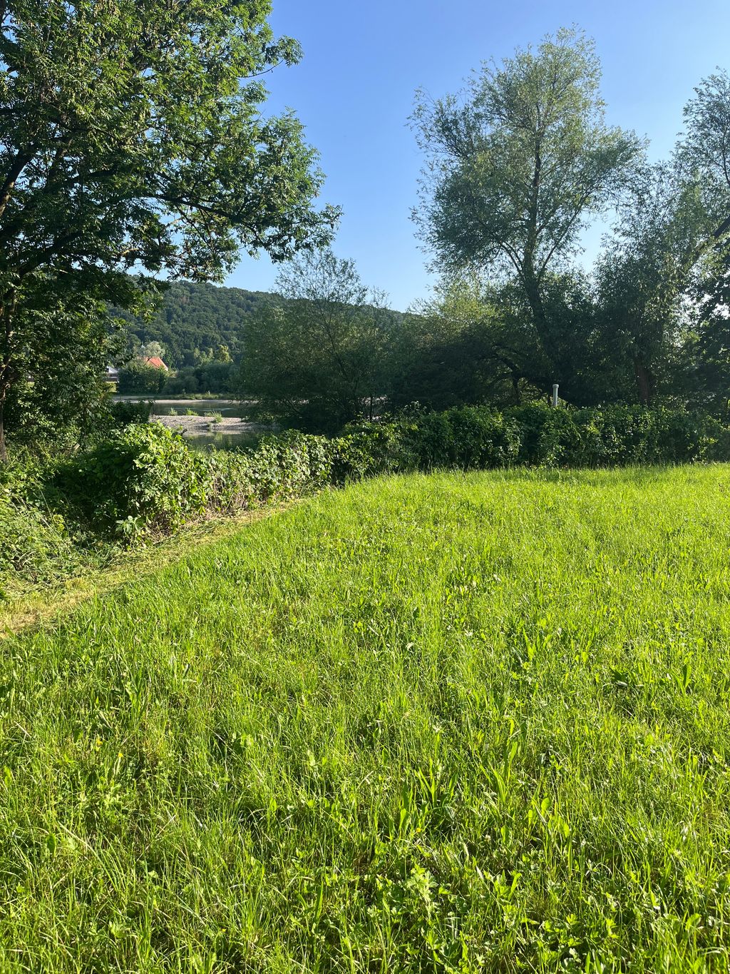 Camping an der Donau- direkt am Donauradweg
