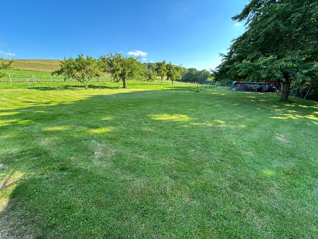 Meadow with far-reaching views of the Thuringian Forest