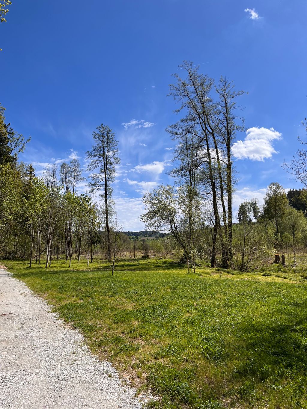 Camping directly by the stream in an idyllic secluded location
