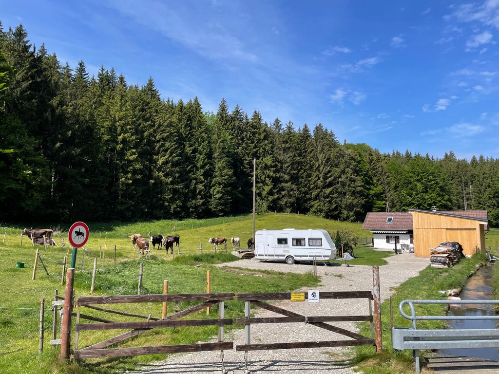 Pernottamento presso un ruscello impetuoso