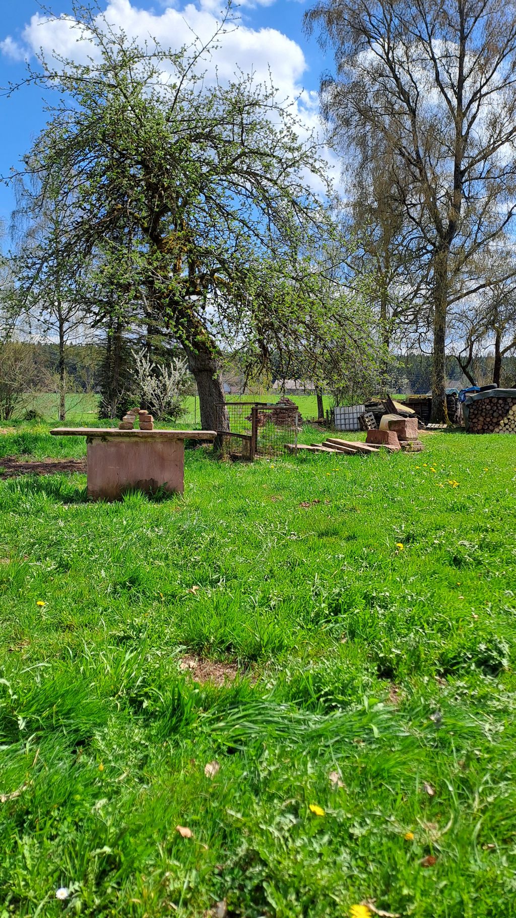 Au cœur de la Forêt-Noire, sans fioritures