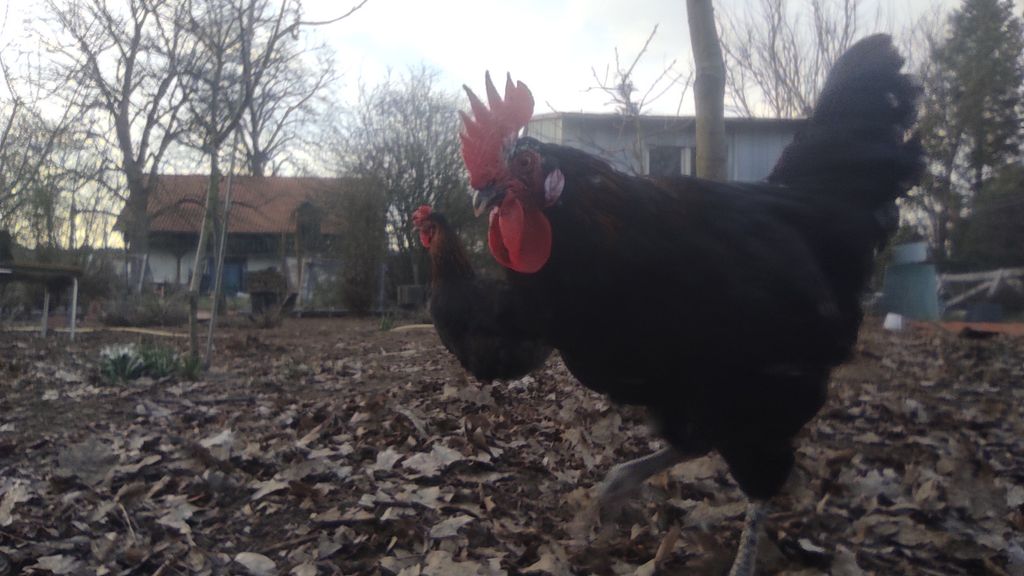 Einfach mal raus aus der Stadt-ab nach Brandenburg
