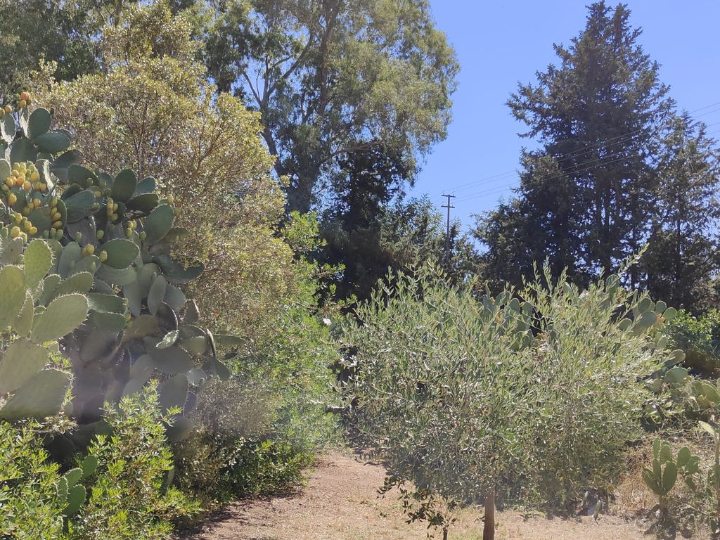 Pause numérique - Tiny House Retreat Sardaigne