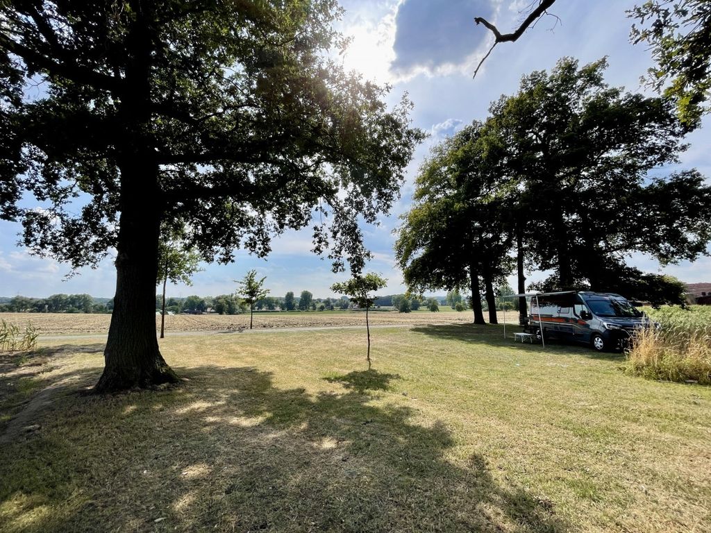 Campen an der Baumgruppe umgeben von Feldern 