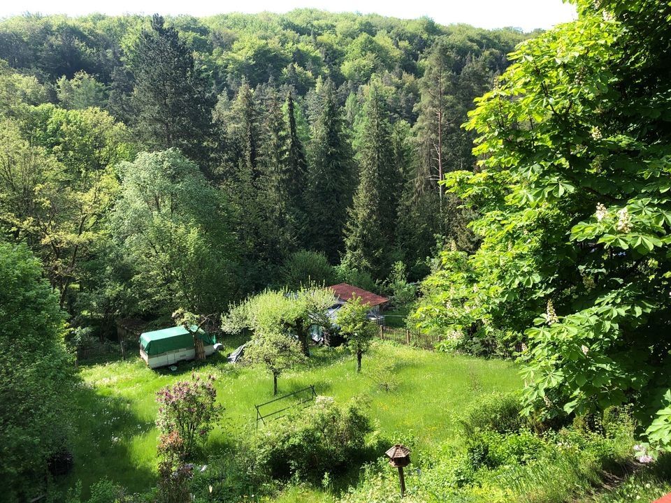 Unique retreat for friends, love nest