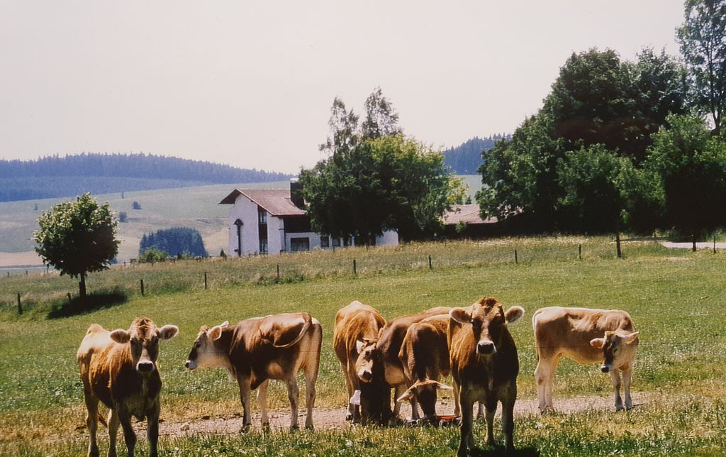 Hof Camping im Allgäu in voralpiner Aussichtslage 
