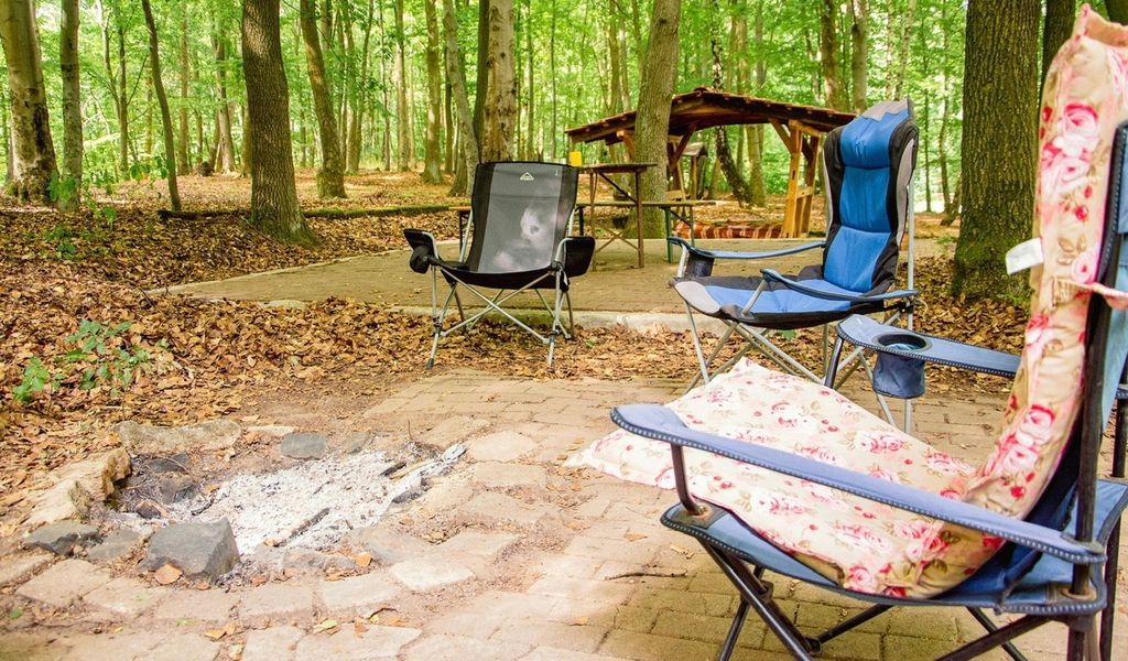 Waldbett unter Buchen