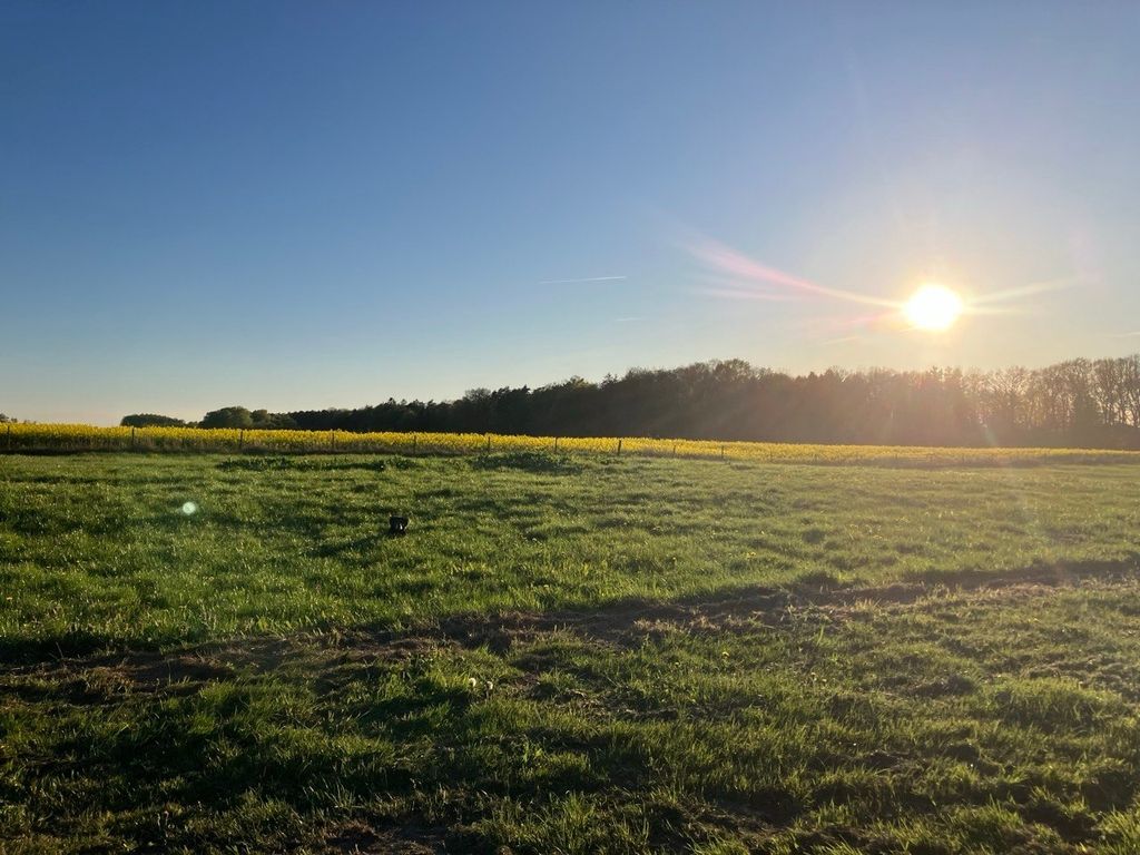 Old Wardow Sports Field