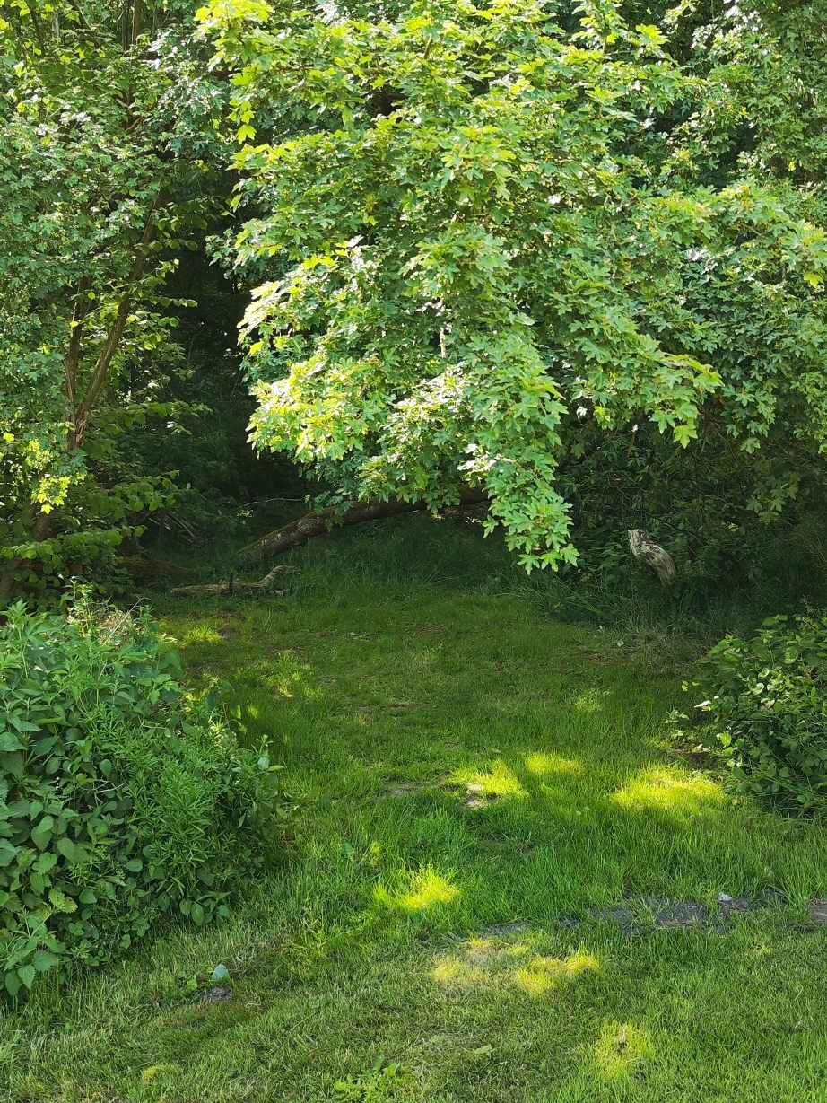 Waldfarm am Natura 2000