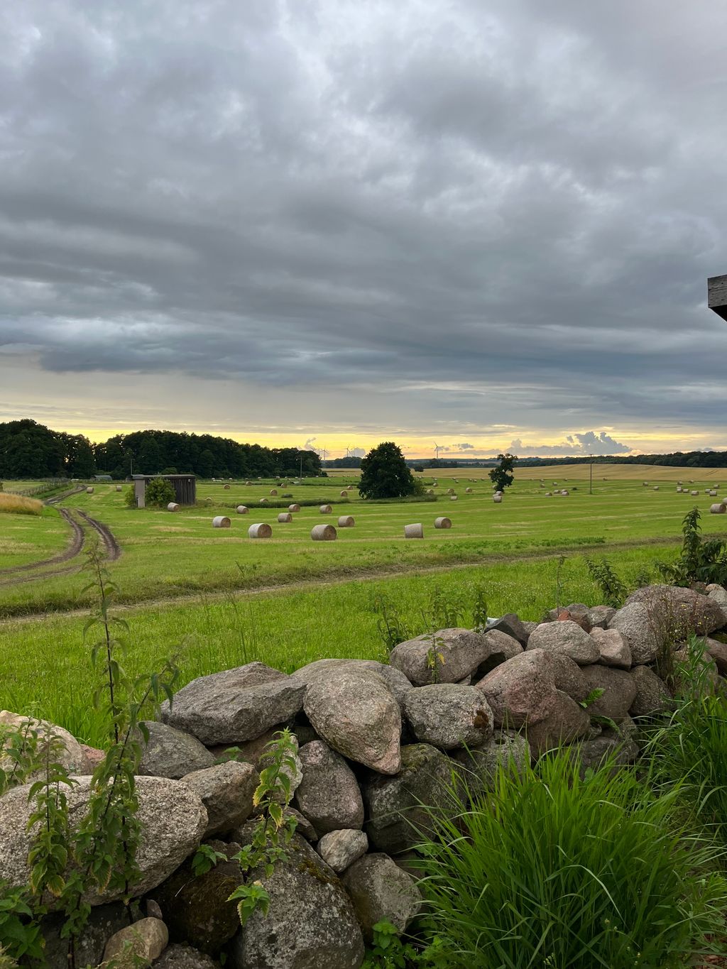 Romantischer Gutspark in der Seenplatte 