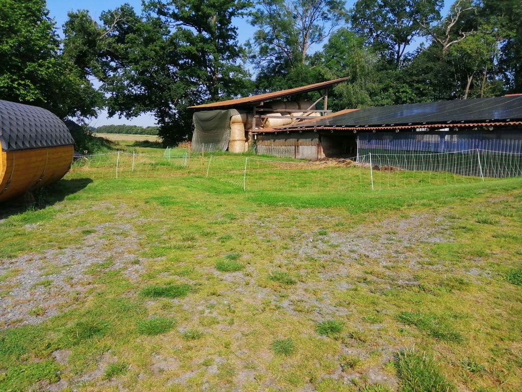 Pitch on the dairy sheep farm in the middle of greenery
