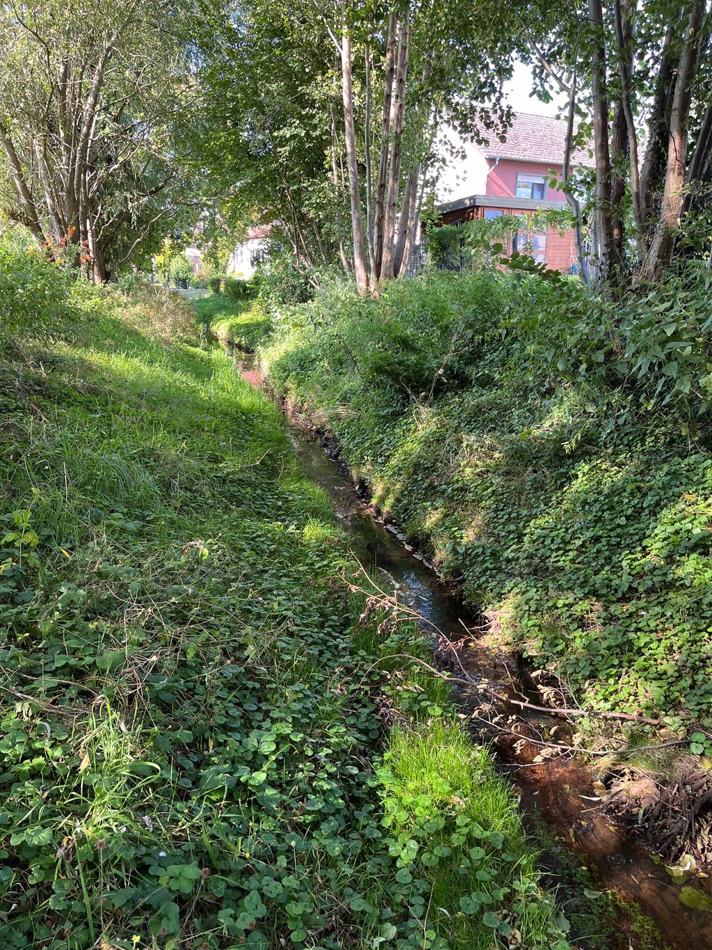 Wiesenstellplatz am Bachlauf im Delbrücker Land