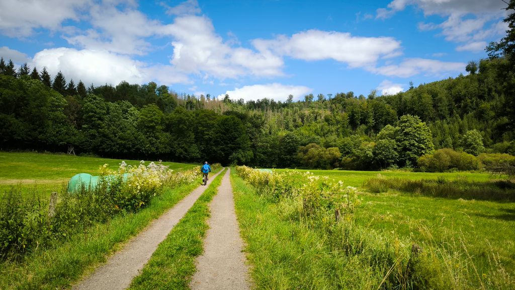 Herb garden with sun deck and bath barrel
