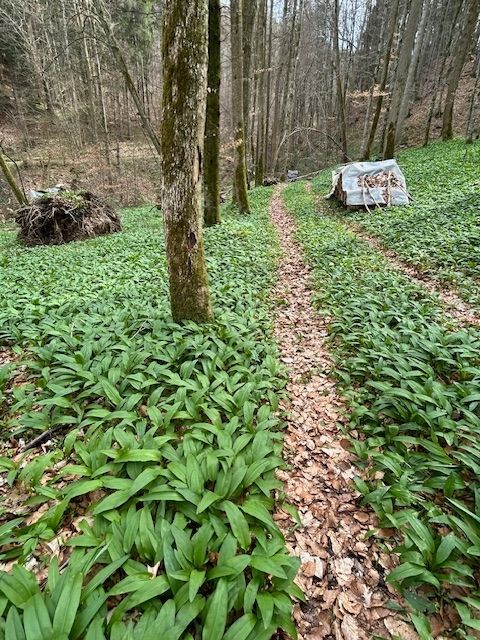 Landliebe Heiligenberg in der Bodenseeregion