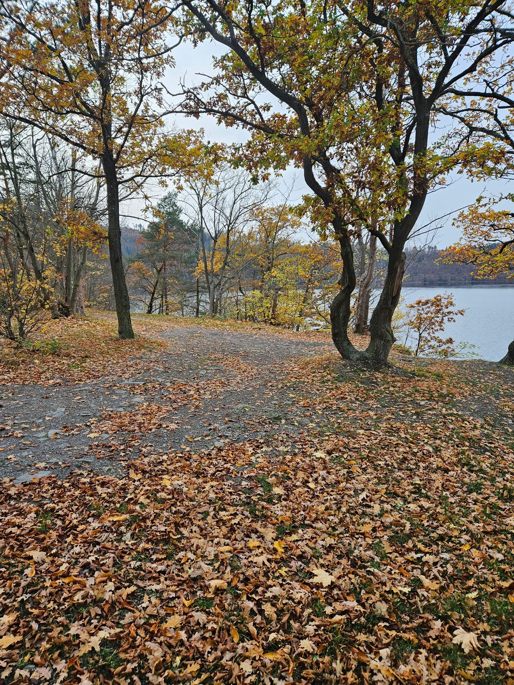 Thüringer Meer hautnah