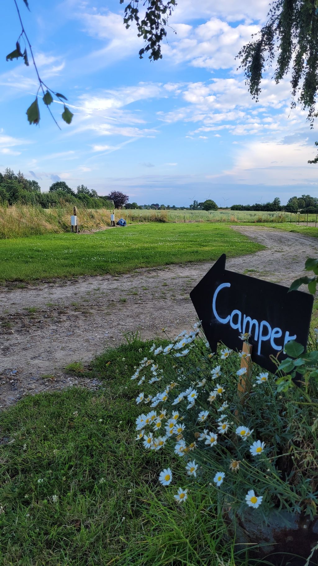 Stellplätze auf Bauernhof nahe Flensburger Förde